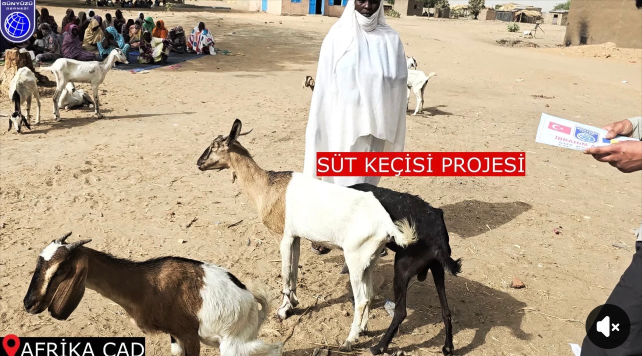 AFRİKA SÜT KEÇİSİ BAĞIŞI