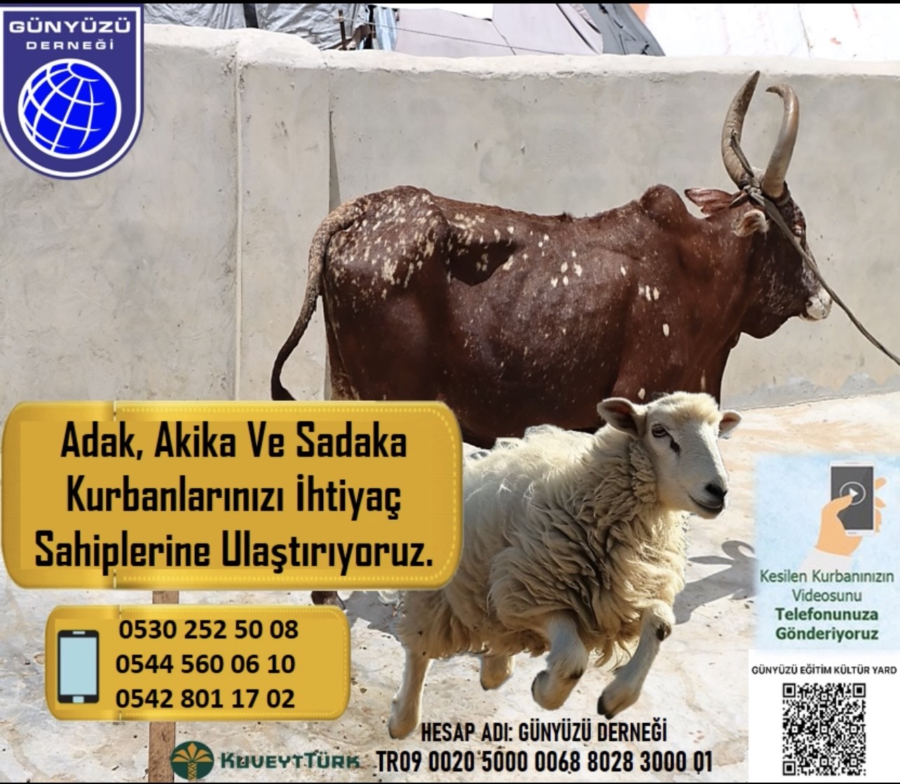 AFRİKA BÖLGESİNDE ADAK VE SADAKA KURBANLAR.